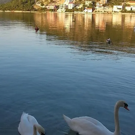 Daire Captains House Rogoznica (Sibenik-Knin)