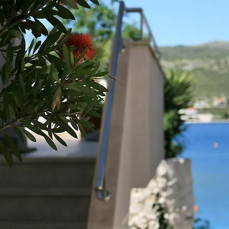 Captains House